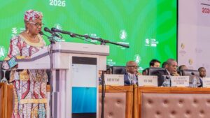 CM14 à Yaoundé : l’Afrique au cœur de la refondation du commerce mondial